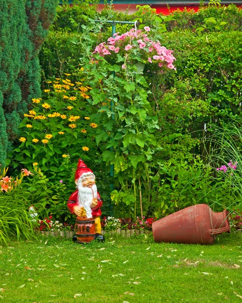 Blommor i trädgården — Stockfoto