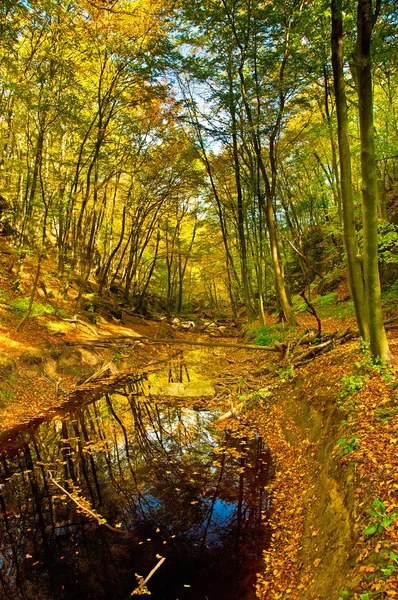 Herbstliche Szenerie — Stockfoto