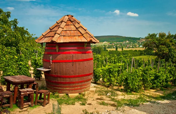 Barrel at the vineyard — Stock Photo, Image
