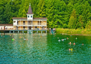 Lake Heviz in Hungary clipart