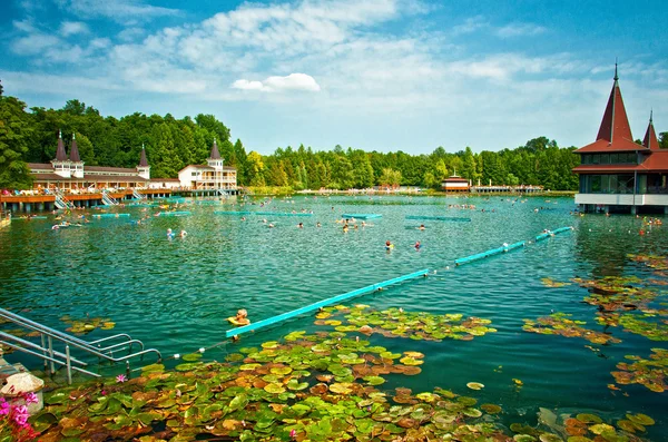 Lago di Heviz in Ungheria . — Foto Stock