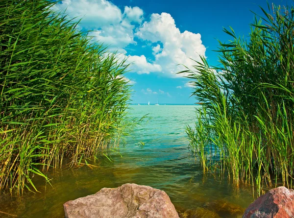 Plattensee — Stockfoto