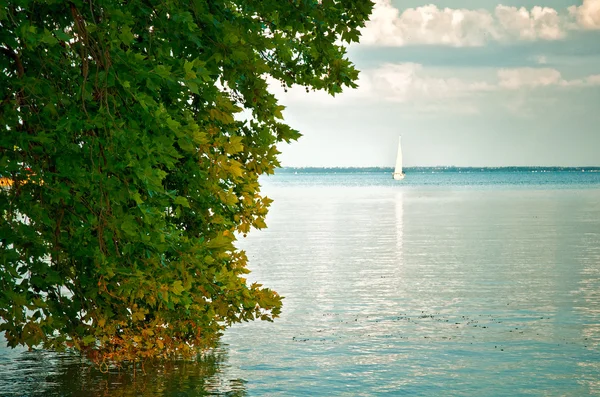 バラトン湖 — ストック写真