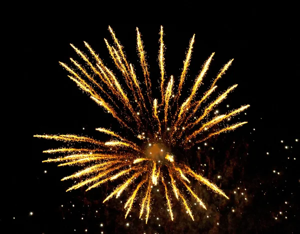 Fantastic Firework — Stock Photo, Image