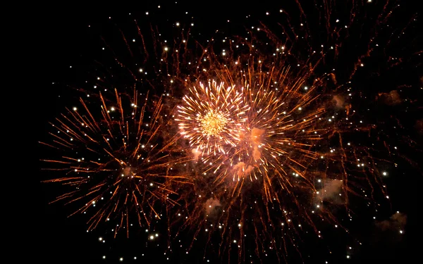 Fuegos artificiales en el cielo nocturno — Foto de Stock