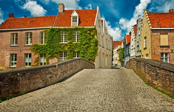 Domy podél kanálů brugge — Stockfoto