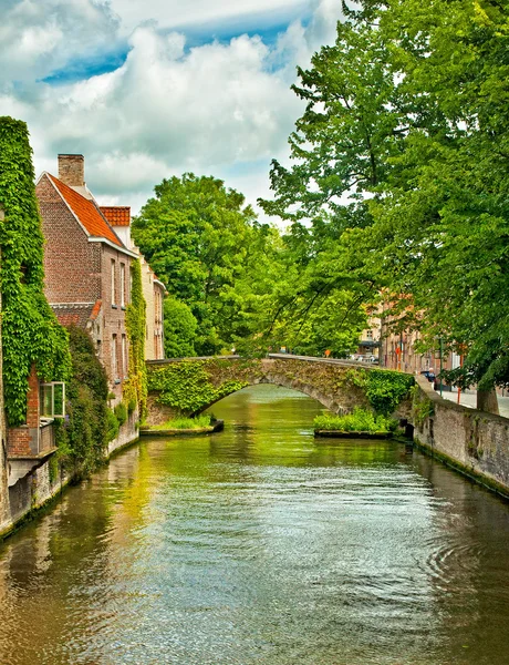 Domy podél kanálů brugge — Stockfoto