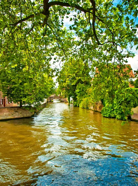 Brugge kanallar boyunca evleri — Stok fotoğraf