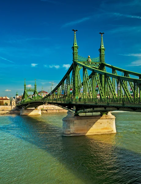 The famous Liberty Bridge — Stock Photo, Image