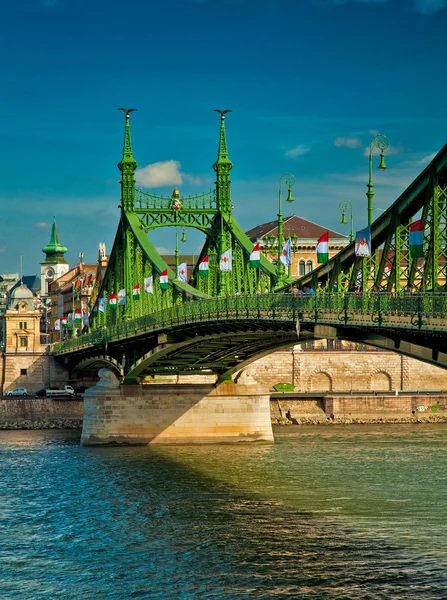 De beroemde Vrijheidsbrug — Stockfoto