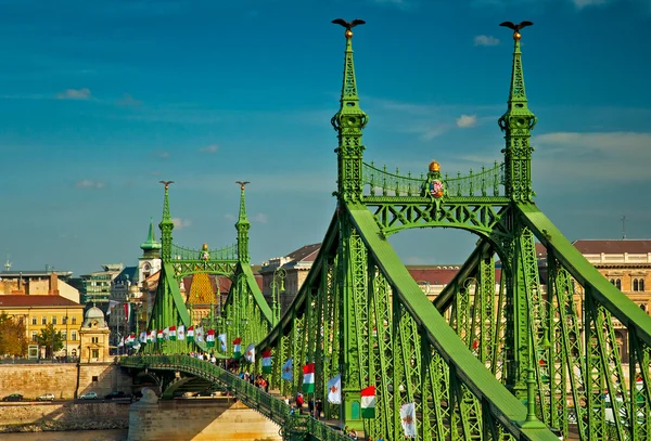 The famous Liberty Bridge — Stock Photo, Image