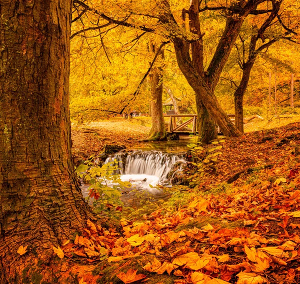 Belle Cascade Dans Vallée Szalajka Hongrie — Photo