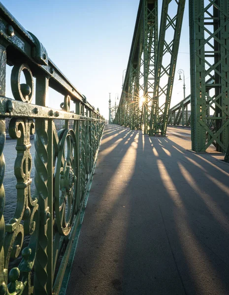 Iconic Bridge Budapest Liberty Bridge — стокове фото