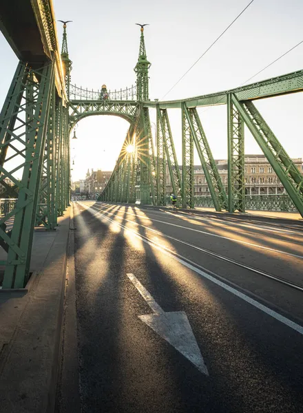 Iconic Bridge Budapest Liberty Bridge — стокове фото