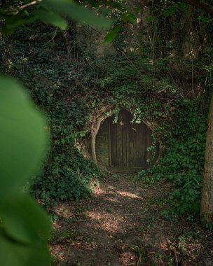 Macaristan, Szld 'da küçük şarap mahzenleri