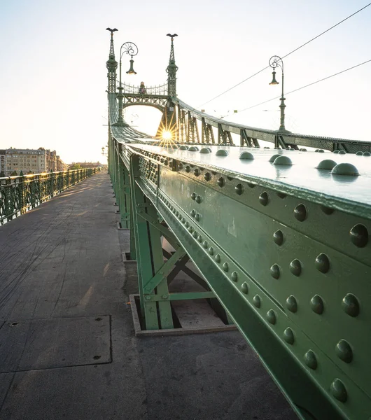 Ponte Iconico Budapest Ponte Della Libertà Estate — Foto Stock