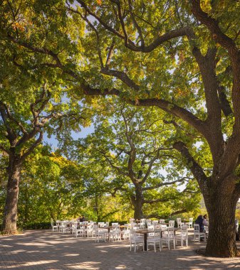 Macaristan 'da dev meşe ağaçları olan güzel bir restoran.