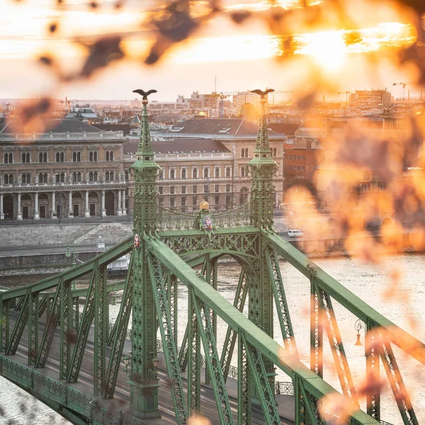 Liberty Bridge Budapešti Maďarsko Ráno — Stock fotografie