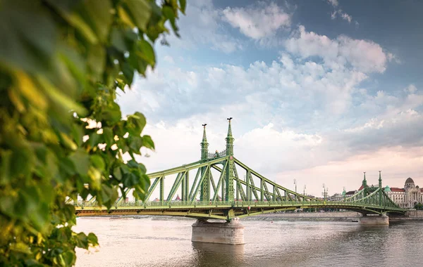 Ikoniska Bron Över Budapest Liberty Bridge Sommaren — Stockfoto