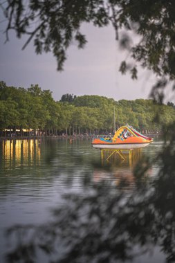 Balaton Gölü 'nde yazın kürek çeken tekneler