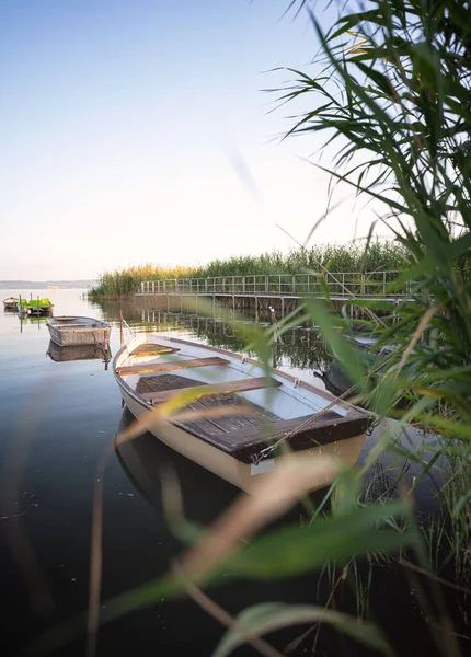 Lodě Rákosí Jezera Balaton Maďarsko Létě — Stock fotografie