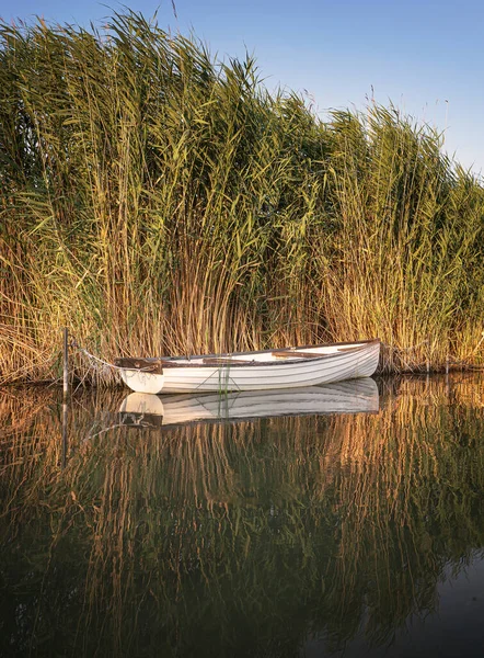 Лодки Тростника Озере Балатон Венгрия Летом — стоковое фото