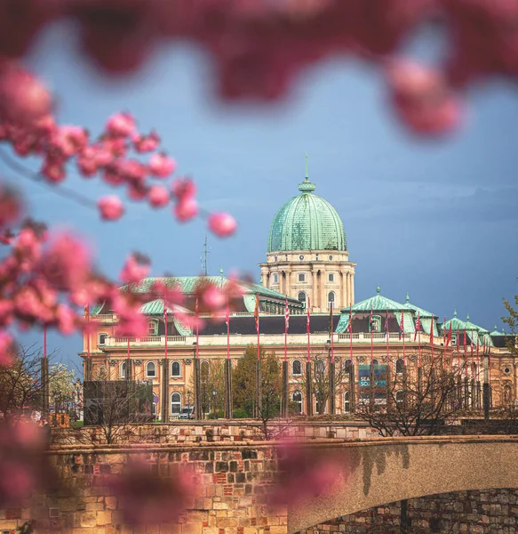 Amazing Spring Cityscape Buda Castle District Budapest Hungary — Stock Photo, Image