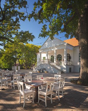 RIZA, HUNGARY - 16 Ekim 2021: Macaristan 'ın Rıza kentinde meşe ağaçlarıyla çevrili güzel bir binada restoran.