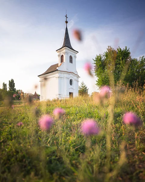 Ładna Stara Biała Kaplica Kwiatami Balatonlelle — Zdjęcie stockowe