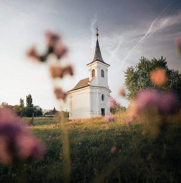 Capela Branca Velha Agradável Com Flores Balatonlelle — Fotografia de Stock