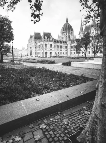 Czarne Białe Zdjęcie Węgierskiego Parlamentu Budapeszt — Zdjęcie stockowe