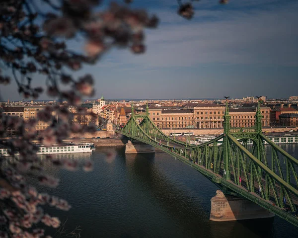 Krásný Liberty Bridge Mandlovým Květem Budapešti Maďarsko — Stock fotografie