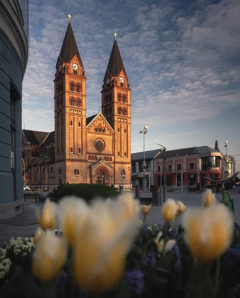 Nyiregyahza Hungary April 2022 View Our Lady Hungary Cathedral Nyregyhza — Fotografia de Stock