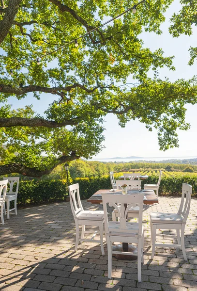 Bonito Restaurante Con Robles Gigantes Hungría — Foto de Stock