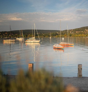 Macaristan, Balaton Gölü 'ndeki limanda yaz mevsiminde yelkenliler
