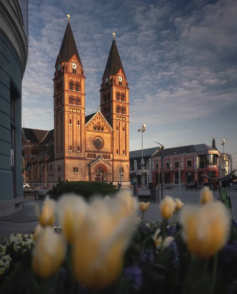 Nyregyhza Ungarn April 2022 Blick Auf Die Kathedrale Unserer Lieben — Stockfoto