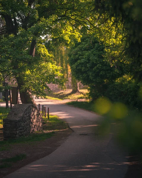 Bonito Camino Con Puente Piedra Las Tierras Altas Balaton Vaszoly —  Fotos de Stock