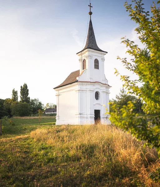 Mooie Oude Witte Kapel Met Wijngaarden Bij Balatonlelle — Stockfoto