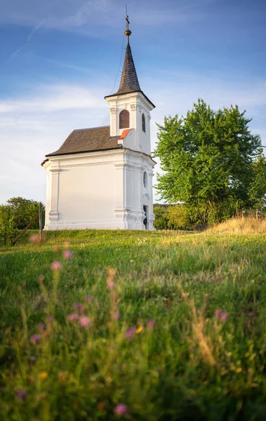 Jolie Chapelle Blanche Avec Vignobles Balatonlelle — Photo