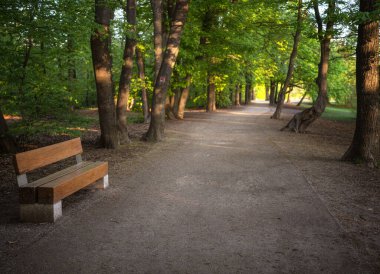 Normafa, Budapeşte 'de banklı yol