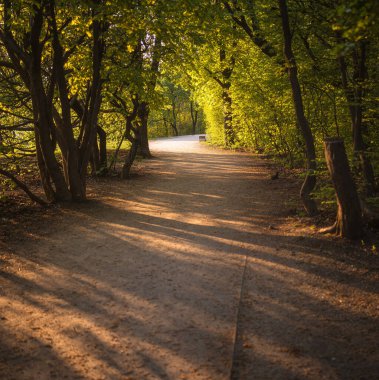 Normafa, Budapeşte 'de banklı yol