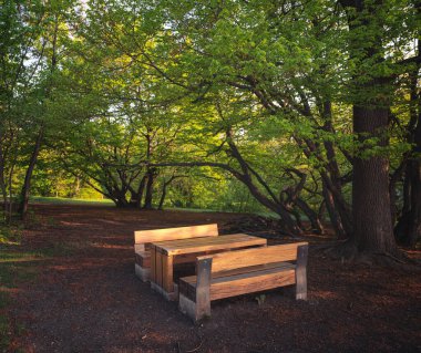 Normafa, Budapeşte 'de banklı yol