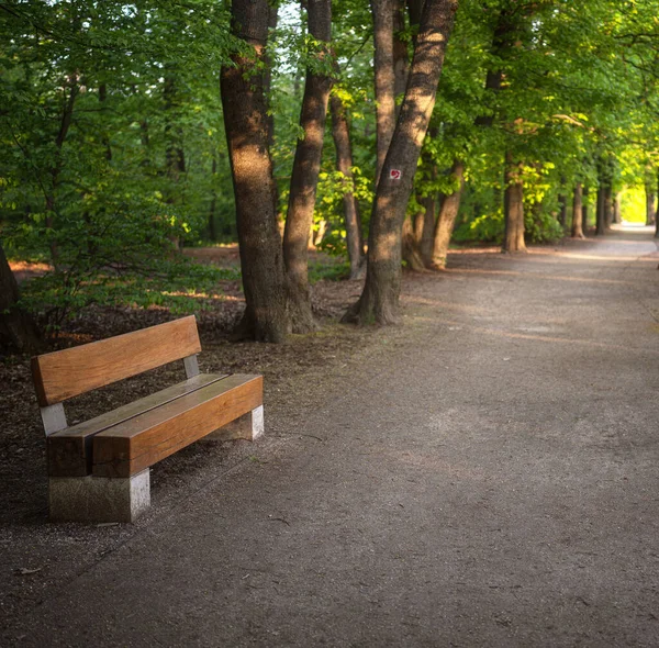 Pathway Met Bankje Normafa Boedapest — Stockfoto