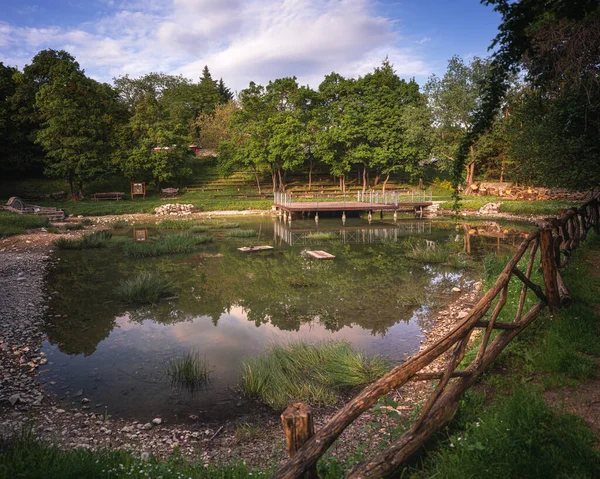 Scenic View Nice Pond Vaszoly Hungary — Stock Photo, Image