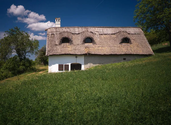 Thatched Roof House Lake Balaton — Stockfoto