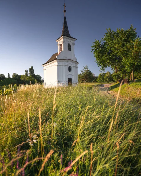 Schöne Alte Weiße Kapelle Mit Blumen Balatonlelle — Stockfoto