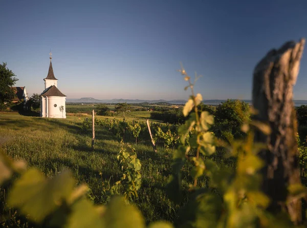 Ωραίο Παλιό Λευκό Εκκλησάκι Λουλούδια Στο Balatonlelle — Φωτογραφία Αρχείου