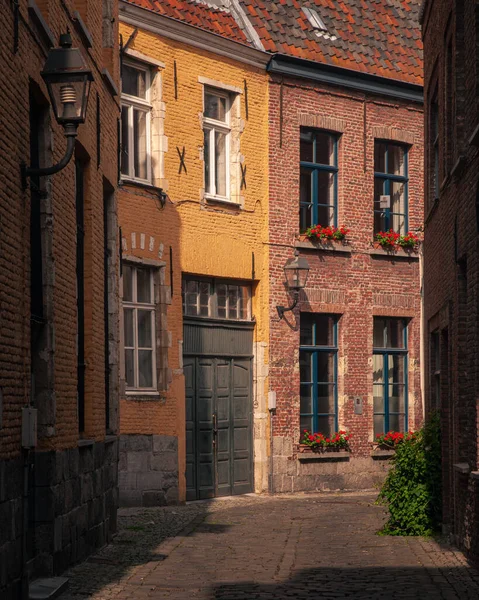 Brugge Bruges Belçika Kanalları Boyunca Evler — Stok fotoğraf