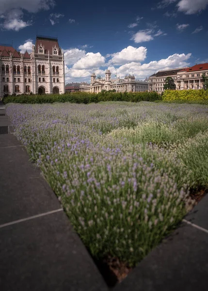 布达佩斯Kossuth广场著名的匈牙利议会 — 图库照片