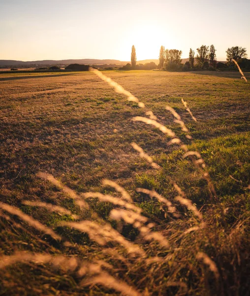 Nice Sunset Tihany Summer — Stock Photo, Image